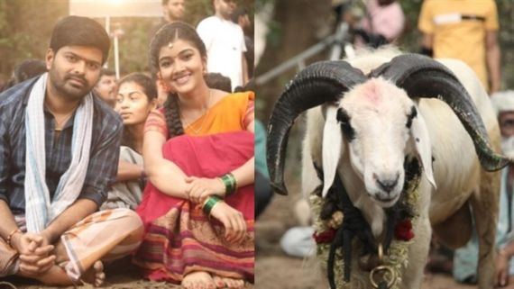 Tagaru Palya: 'ಟಗರು ಪಲ್ಯ'ವನ್ನು ಚಪ್ಪರಿಸಿದ ಕನ್ನಡಿಗರು.. ಹೆಚ್ಚಾಯ್ತು ಶೋಗಳ ಸಂಖ್ಯೆ, ರಿಮೇಕ್‌ಗೂ ಬೇಡಿಕೆ