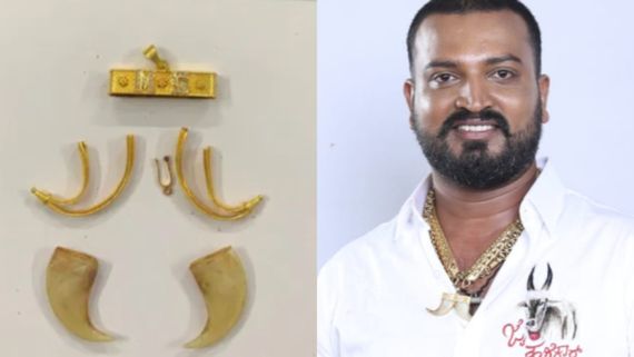 Varthur Santhosh: ಬಂಧಿತ ಬಿಗ್ ಬಾಸ್ ಸ್ಪರ್ಧಿ ವರ್ತೂರ್ ಸಂತೋಷ್ ಧರಿಸಿದ್ದು ಒರಿಜಿನಲ್ ಹುಲಿ ಉಗುರು! ಮುಂದೇನು?