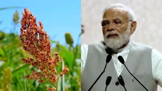 Grammy Award: ಪ್ರತಿಷ್ಠಿತ ಗ್ರ್ಯಾಮಿ ಪ್ರಶಸ್ತಿಗೆ ನಾಮನಿರ್ದೇಶನಗೊಂಡ ಪಿಎಂ ಮೋದಿ!