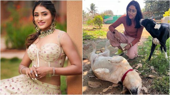 ಬಿಗ್‌ಬಾಸ್‌ನಿಂದ ಹೊರಬರುತ್ತಿದ್ದಂತೆ 'ಚಾರ್ಲಿ 777' ಯನ್ನು ಭೇಟಿಯಾದ ನಟಿ ಸಂಗೀತಾ ಶೃಂಗೇರಿ!