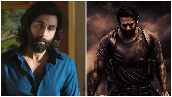 ಪ್ರಭಾಸ್ 'ಸಲಾರ್' Vs ರಣ್‌ಬೀರ್ 'ಅನಿಮಲ್' ಮಧ್ಯೆ ಬಿಗ್‌ ಫೈಟ್; ಗೆಲ್ಲೋದ್ಯಾರು? 