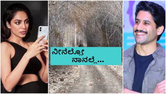 ಶೋಭಿತಾ ಜೊತೆ ನಾಗ ಚೈತನ್ಯ ಕಾಡು-ಮೇಡು ಪ್ರವಾಸ ; ಮತ್ತೊಮ್ಮೆ ತಗ್ಲಾಕೊಂಡ ಸಮಂತಾ ಮಾಜಿ ಗಂಡ..? 