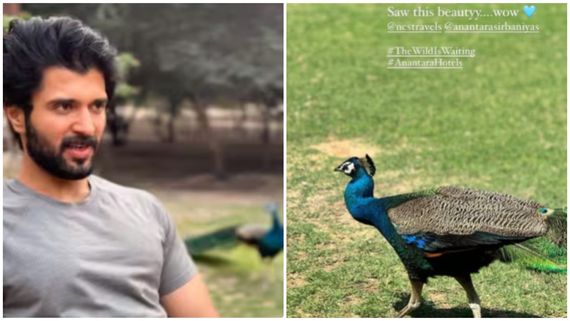 ವಿಜಯ್ ದೇವರಕೊಂಡ ಜೊತೆ ರಶ್ಮಿಕಾ ಬರ್ತ್‌ಡೇ ಸೆಲೆಬ್ರೆಟ್ ಮಾಡ್ತಿದ್ದಾರಾ? ಸಾಕ್ಷಿ ತೋರಿಸಿದ ನೆಟ್ಟಿಗರು? 