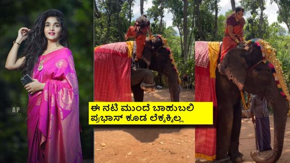  'ಬಾಹುಬಲಿ' ಪ್ರಭಾಸ್ ಅಂತ ಆನೆ ಏರಿದ ನಟಿ ದಿವ್ಯಾ ಉರುಡುಗ: ವಿಡಿಯೋ ನೋಡಿ 