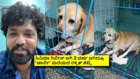 6 ಮರಿಗಳಿಗೆ ಜನ್ಮ ನೀಡಿದ '777 ಚಾರ್ಲಿ'; ರಿಯಲ್ ಲೈಫ್‌ನಲ್ಲಿ ಸಿನಿಮಾ ಜರ್ನಿ ಪೂರ್ಣಗೊಳಿಸಿದ ಚಾರ್ಲಿ! 