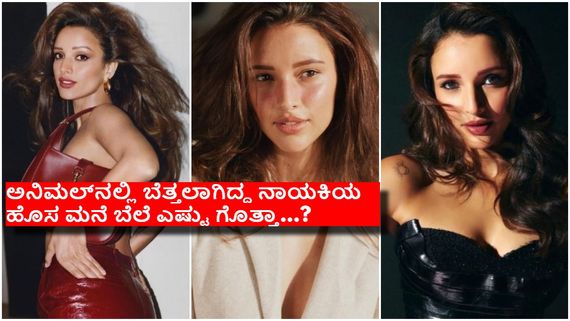 ಬಾಲಿವುಡ್‌ನ ಕುಬೇರ ಮೂಲೆಯಲ್ಲಿ ಮನೆ ಖರೀದಿಸಿದ ತೃಪ್ತಿ ದಿಮ್ರಿ..!