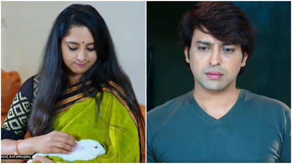 Lakshmi Nivasa ; ಜಾಹ್ನವಿ ಪ್ರೀತಿಯ ಮೊಲ ಕಾಣೆಯಾಗಿದೆ. ಜಯಂತ್ ವಕ್ರ ದೃಷ್ಟಿ ಮೊಲದ ಮೇಲು ಬಿತ್ತಾ? 