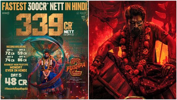 'ಟಾಕ್ಸಿಕ್' ಅಲ್ಲ, ಈ ಕನ್ನಡ ಸಿನಿಮಾ 'ಪುಷ್ಪ'-2 ಹಿಂದಿ ದಾಖಲೆ ಮುರಿಯಲಿದೆ!