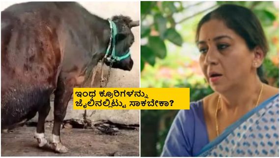ಹಸು ಕೆಚ್ಚಲು ಕೊಯ್ದ ಕ್ರೂರಿಗಳನ್ನು 50 ರೂ. ದಂಡ ಕಟ್ಟಿಸಿಕೊಂಡು ಬಿಡಬೇಡಿ: ನಟಿ ಸುಧಾರಾಣಿ 