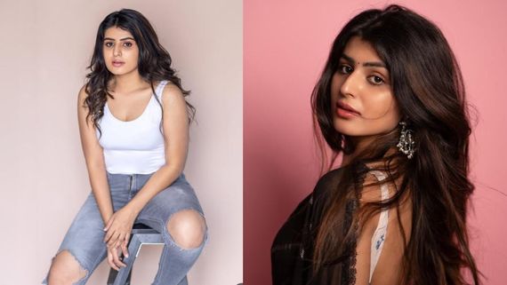 ಟಾಲಿವುಡ್ ಗೆ ಹಾರಿದ ಕೃಷ್ಣನ ಪ್ರಣಯ ಸಖಿ! 