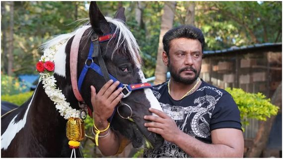 ಈ ವರ್ಷ ನಟ ದರ್ಶನ್ ಹುಟ್ಟುಹಬ್ಬಕ್ಕೆ ಭಾರೀ ಸರ್‌ಪ್ರೈಸ್‌?