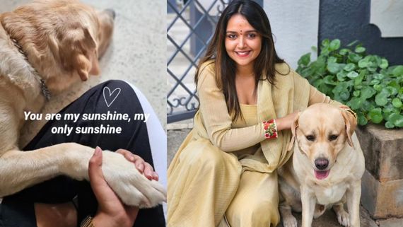  'ಅಣ್ಣಯ್ಯ'ನ ಅರಗಿಣಿ ನಿಶಾ ರವಿಕೃಷ್ಣ ಶ್ವಾನ ಪ್ರಿಯೆ; ಇವರು ಸಾಕಿರುವ ನಾಯಿ ಯಾವುದು ಗೊತ್ತೆ?  