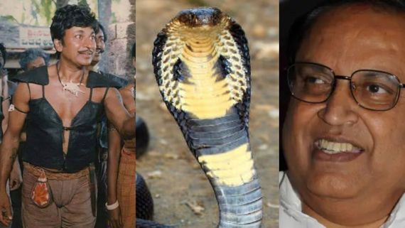 ಅಣ್ಣಾವ್ರ ಮುಂದೆ ನಾಲ್ಕು ಅಡಿ ಎದ್ದು ನಿಂತಿದ್ದ ಕಾಳಿಂಗ ಸರ್ಪ; ಈ ಘಟನೆ ನಡೆದಿದ್ದು ಯಾವಾಗ?