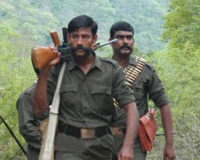 வீரப்பன் வாழ்க்கை மர்மத்தை அவிழ்க்கும் சந்தனக்காடு!
