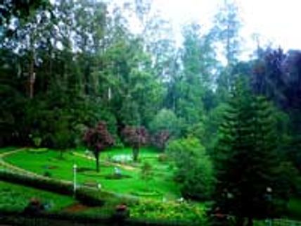 ஊட்டி தாவிரவியல் பூங்காவில் சினிமா ஷூட்டிங் நடத்த தடை!