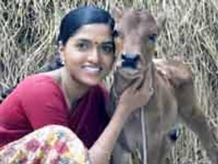 பசுமாட்டுக்கு பெயர் வைத்தது அசினை இழிவுபடுத்த அல்ல! - சுனேனா