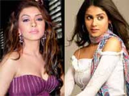 சம 'வெயிட்'டில் ஹன்சிகா, ஜெனிலியா!