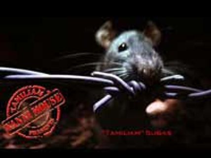 வன்னி எலி-குறும்பட டிவிடி வெளியீடு