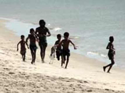 சிங்கள ராணுவத்தின் அராஜகத்தைச் சொல்லும் செங்கடல் படத்துக்கு சென்சார் தடை!!