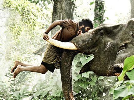 நார்வே திரைப்பட விழாவில் கும்கி படத்திற்கு 3 விருதுகள்.. சிறந்த படம் வழக்கு எண் 18/9