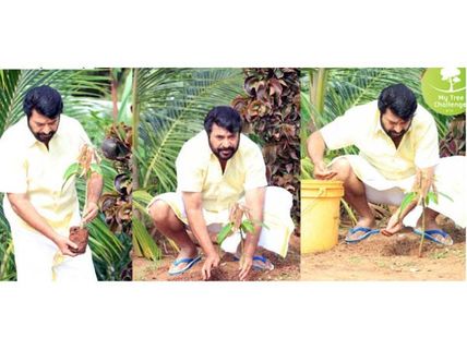 தலையில் ஐஸ் தண்ணீர் கொட்ட வேண்டாம். மரக்கன்றுக்கு தண்ணீர் ஊற்றுங்கள் - மம்முட்டி