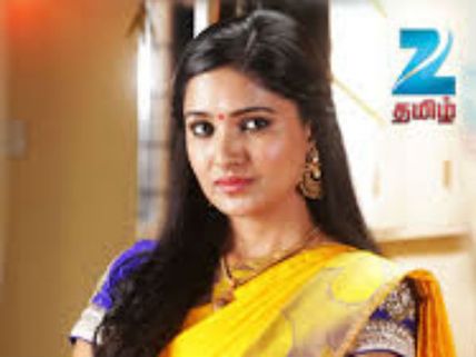 பிரியமானவள்... குலதெய்வம்... லட்சுமி வந்தாச்சு... 2015ல் இவங்க புதுசுங்க...