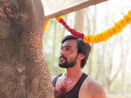 Raja Bheema.. யானை மேல் இருந்து தவறி விழுந்த ஆரவ்.. படப்பிடிப்பில் பரபரப்பு! 