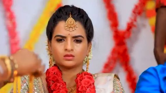 naam iruvar namakku iruvar serial: தாமரை கழுத்துல மாயண்ணந்தேன் தாலி  கட்னாப்டியா? 