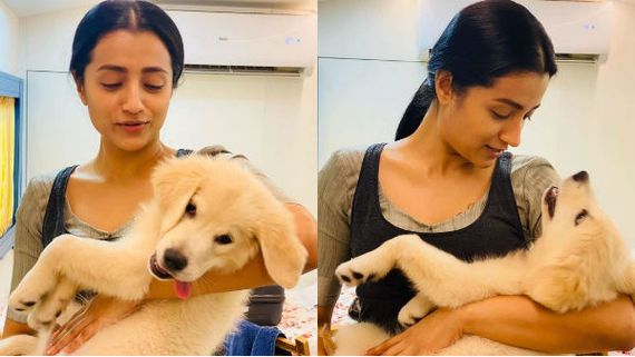  ஷூட்டிங் ஸ்பாட்டில் நாயுடன் விளையாடும் திரிஷா வைரல் ஆகும் புகைப்படம் 