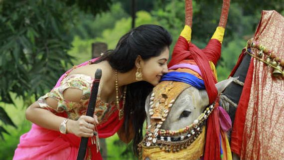 கையில பீப்பி.. சேலையில செம க்யூட்.. இவ்ளோ அழகான பூம் பூம் மாட்டுக்காரியை பார்த்து இருக்கமாட்டீங்க!
