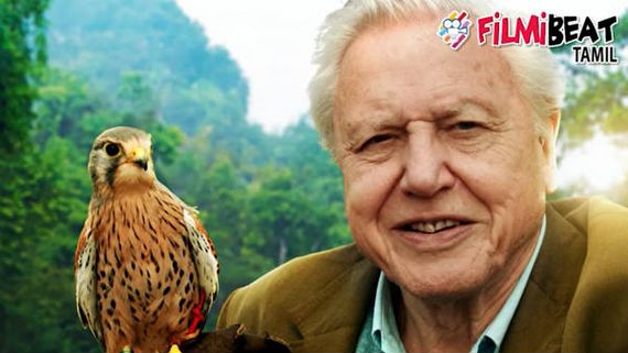 இவரது லென்ஸ் வழியே நமக்குத் தெரிந்த இயற்கை.. 94 வயதிலும் இயற்கைக்காக உழைக்கும் டேவிட் அட்டன்பாரோ!