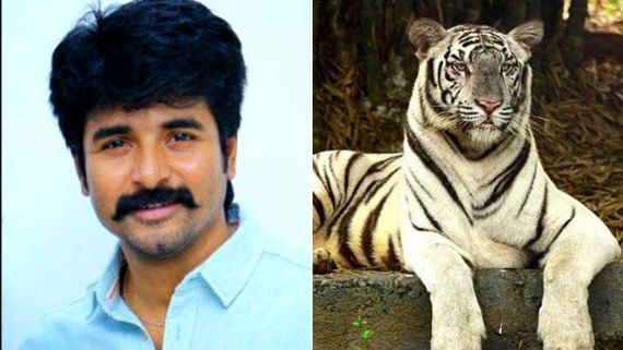 வண்டலூர் உயிரியல் பூங்காவில்.. மேலும் 4 மாதங்களுக்கு.. அந்த 'அனு'வைத் தத்தெடுத்த பிரபல ஹீரோ! 