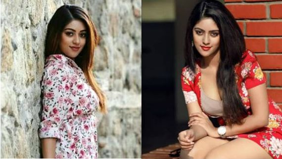 கொஞ்சம் கொஞ்சமாக கவர்ச்சிக்கு கிரீன் சிக்னல்.. அனு இம்மானுவேல் ஹாட் பிக்ஸ் !