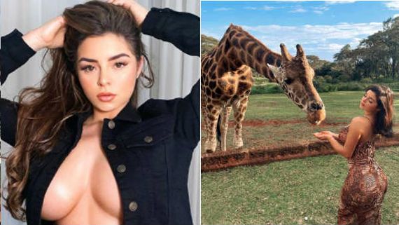 ப்பா.. என்னம்மா ஊட்டி விடுறாரு டெமி.. பார்த்து ஒட்டகச்சிவிங்கி கையை கடிச்சிடப் போகுது! 