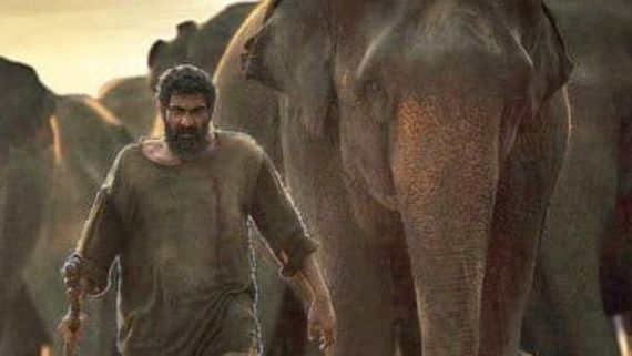 Movie Review : காடன் திரைவிமர்சனம்- யானைகளின் வீட்டிற்குள் புகுந்து மனிதர்கள் அட்டகாசம் 