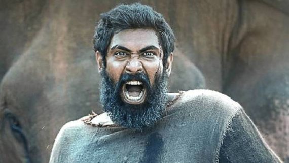 யானை நேசர்களே.. நமது வாசகர் எழுதிய காடன் திரைப்பட விமர்சனம் இதோ!