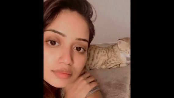 மரியாத தெரியலயா.. பூனைக்கு புலின்னு பேரு வச்சா எப்டி பார்க்கும்? நடிகையை பங்கமாக்கும் நெட்டிசன்ஸ்! 
