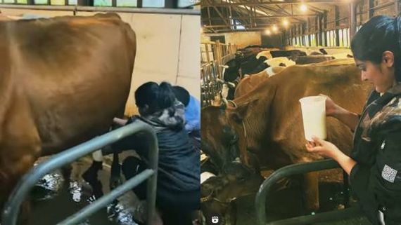 மாட்டுக் கொட்டகையில்  பால்கறக்கும் ரஜினியின் ரீல் மகள்! 