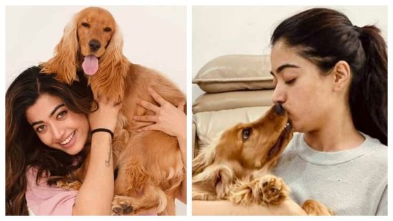 நாய்க்கு விமான டிக்கெட்? ராஷ்மிகா இது ரொம்ப ஓவர்..தயாரிப்பாளர் புகார்.. கலாய்க்கும் நெட்டிசன்கள்!