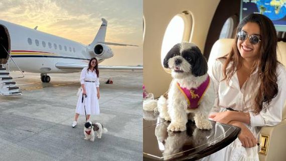 செல்ல நாயுடன் விமானத்தில் பறந்த நடிகை.. பணம் இருந்தா இப்படியா? எல்லாம் காலக்கொடுமை கதிரவா!