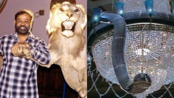 சந்திரமுகி பாம்பிற்கு என்னதான் ஆச்சு... ரகசியம் உடைத்த பி.வாசு