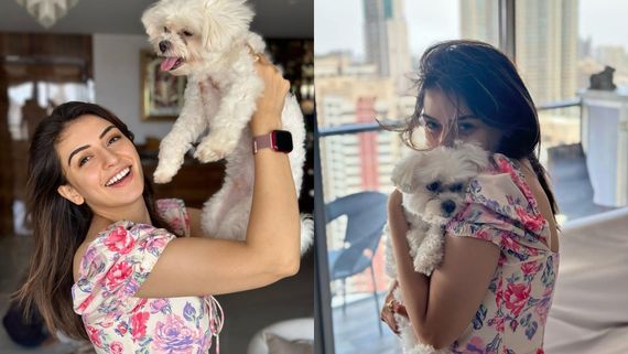 Hansika Motwani : கொடுத்து வச்ச நாய்.. ரசிகர்களை காண்டு ஏத்திய ஹன்சிகா மோத்வானி!