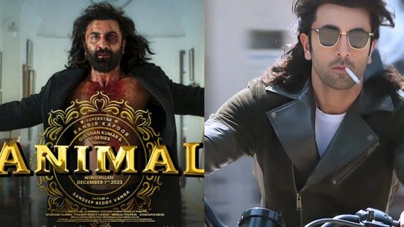  Animal OTT Release: நெட்பிளிக்ஸில் வெளியாகும் அனிமல்... OTT ரசிகர்கள் வெயிட்டிங்... அப்டேட் இதோ