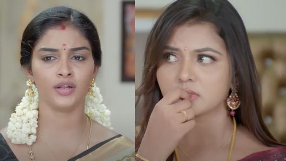 பூஜை அறையில் கருநாகம்.. ஜோசியர் கொடுத்த அதிர்ச்சி.. கார்த்திகை தீபம் இன்றைய எபிசோட்!