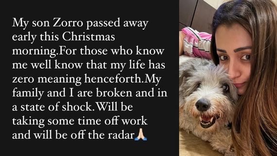 Trisha: என்னோட மகன் செத்துப்போயிட்டான்.. எனக்கு கிறிஸ்துமஸ் கிடையாது.. திடீரென த்ரிஷா போட்ட பதிவு