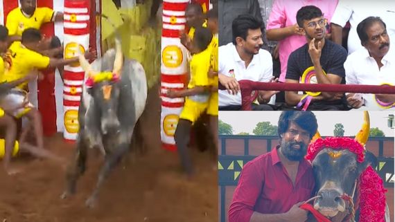 அலங்காநல்லூர் ஜல்லிக்கட்டில் சீறிப் பாய்ந்த சூரியின் காளை.. சூரி வரவில்லையானு கேட்ட உதயநிதி! 
