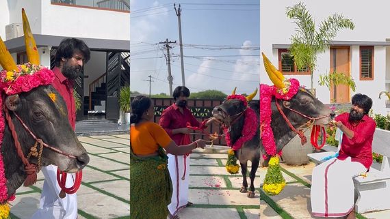 Soori: ஜல்லிக்கட்டில் மல்லுக்கட்ட தயாரான சூரியின் ராஜாக்கூர் கருப்பன்.. என்ன கம்பீரமா இருக்கு!