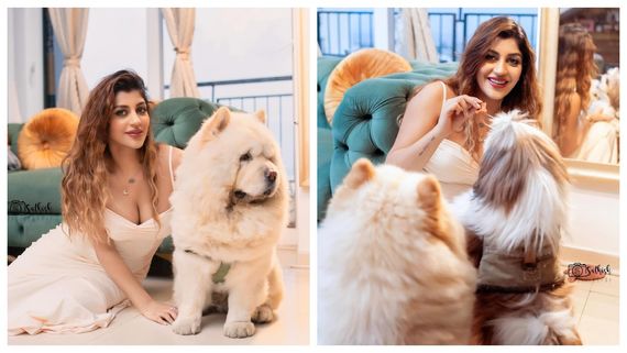  நாய் குட்டியுடன் நச்சுன்னு இருக்கும் யாஷிகா ஆனந்த்.. எனக்கு கொடுத்து வைக்கலயே.. புலம்பும் ஃபேன்ஸ்!