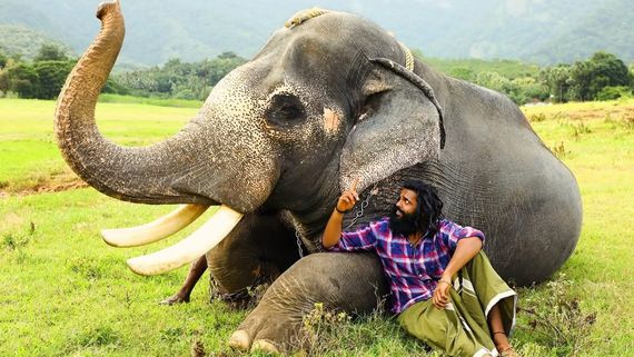 Padai Thalaivan Box Office: சின்ன கேப்டனுக்கு சண்டே பாக்ஸ் ஆபீஸ் எப்படி?.. படை தலைவன் 3ம் நாள் வசூல்!