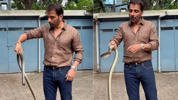 படையப்பா ரஜினி எல்லாம் ஓரம் போங்க.. பாம்பை அசால்ட்டாக கையில் பிடித்து கிளாஸ் எடுக்கும் சோனு சூட்!